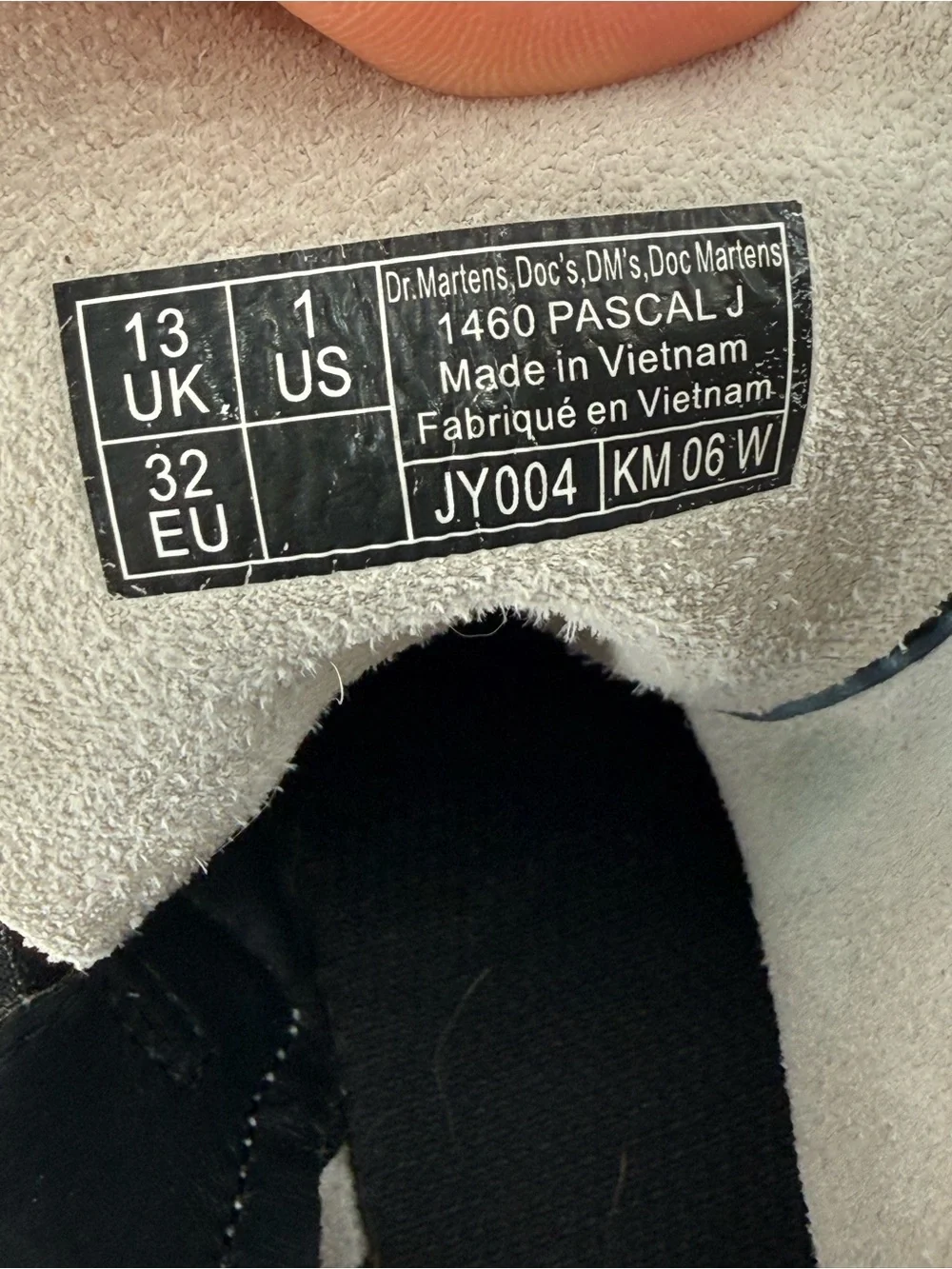 Dr. Martens 1460 Pascal J‎ Metallic Rainbow Girls 1
